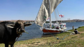 3or 2 or 1night with Felucca tour from aswan